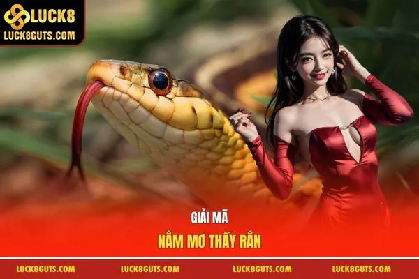 Nằm Mơ Thấy Rắn - Ý Nghĩa Tâm Linh Và 69 Con Số May Mắn 7 Giải mã nằm mơ thấy rắn