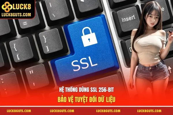 Luck8 Có Uy Tín Không 7 Hệ thống dùng SSL 256-bit bảo vệ tuyệt đối dữ liệu