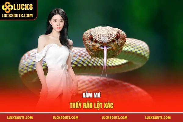 Nằm Mơ Thấy Rắn - Ý Nghĩa Tâm Linh Và 69 Con Số May Mắn 6 Nằm mơ thấy rắn lột xác